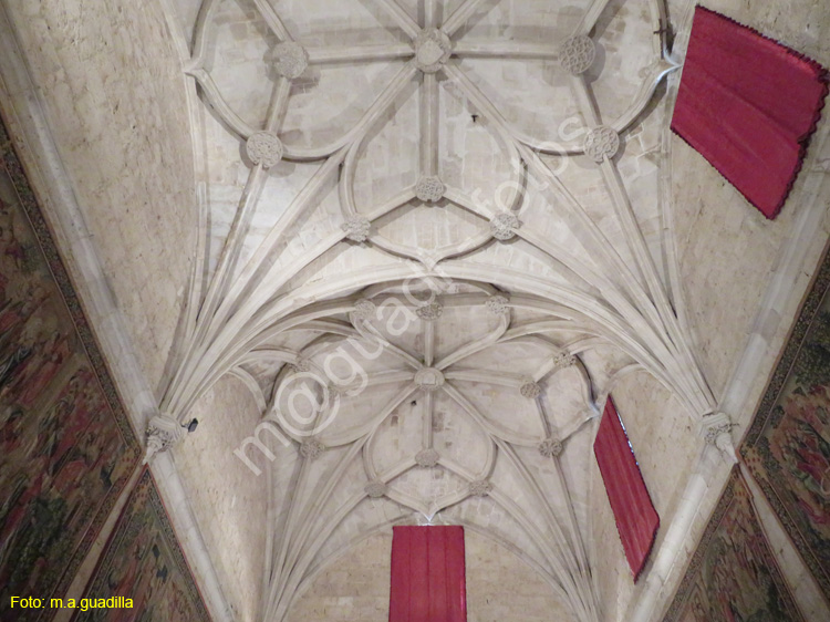 PALENCIA (336) Catedral