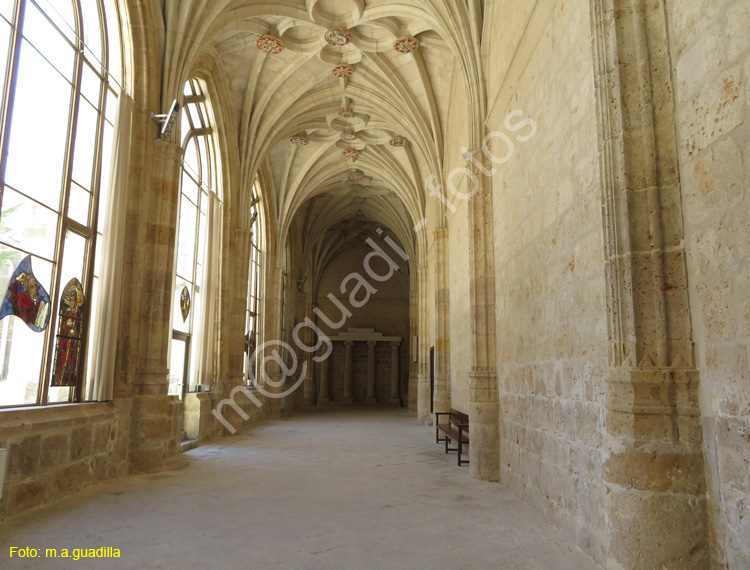 PALENCIA (342) Catedral