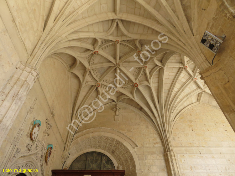 PALENCIA (343) Catedral