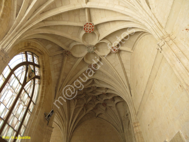 PALENCIA (344) Catedral