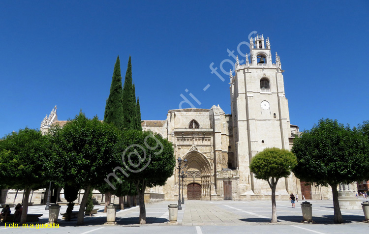 PALENCIA (345) Catedral