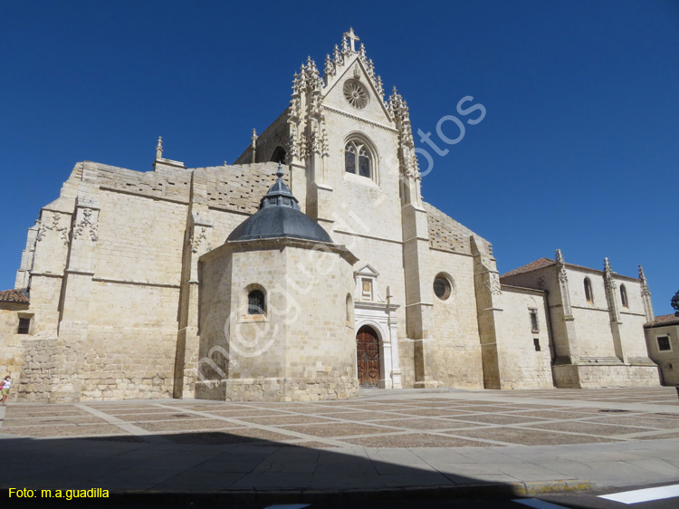 PALENCIA (346) Catedral