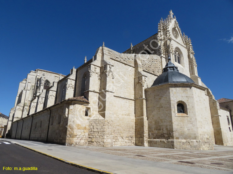 PALENCIA (347) Catedral