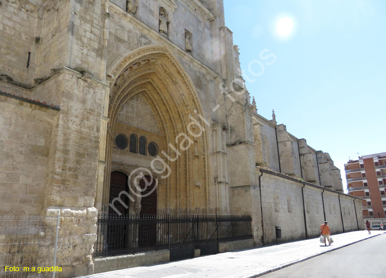 PALENCIA (351) Catedral