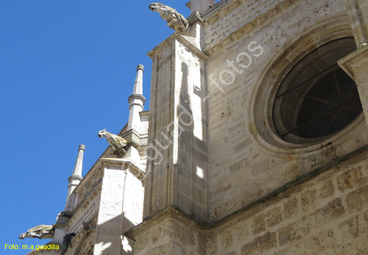 PALENCIA (352) Catedral