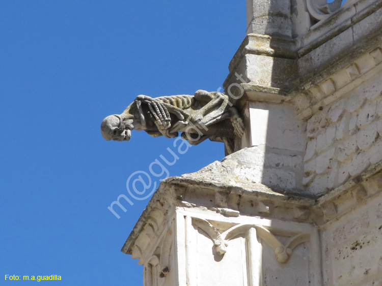 PALENCIA (353) Catedral