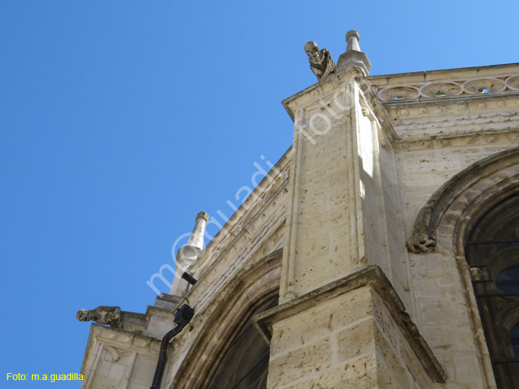 PALENCIA (354) Catedral