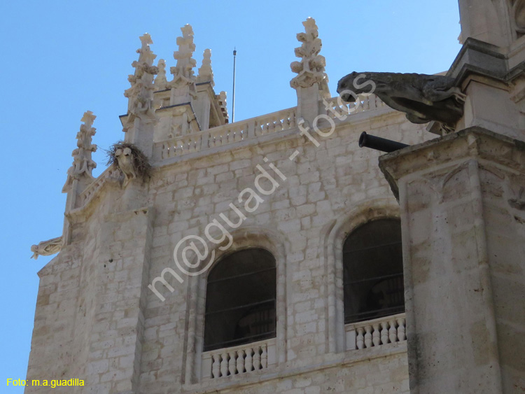 PALENCIA (355) Catedral