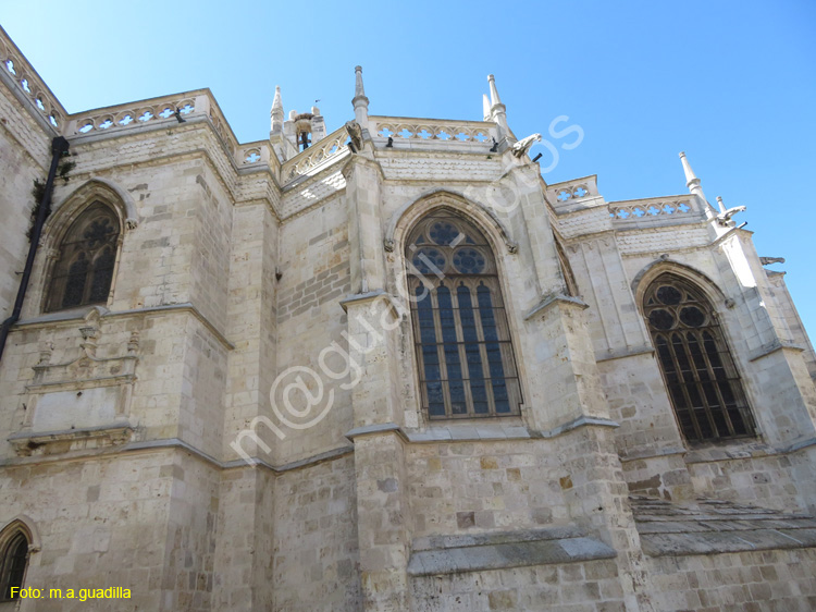 PALENCIA (356) Catedral