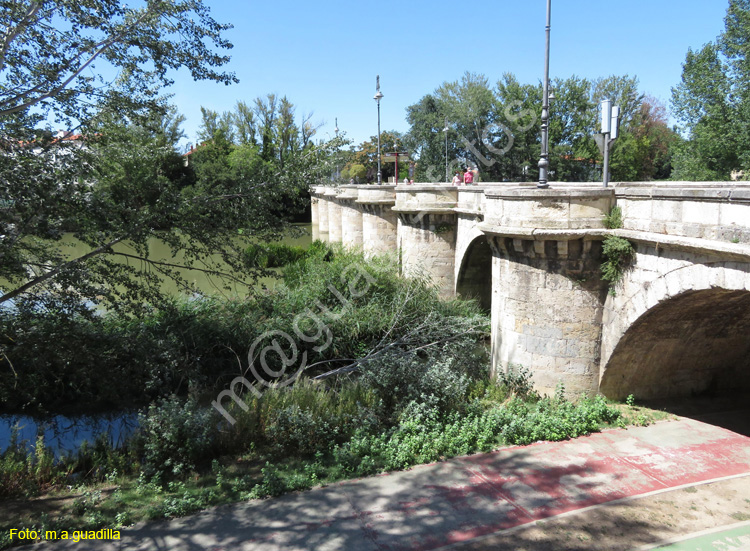 PALENCIA (358) Puente Mayor