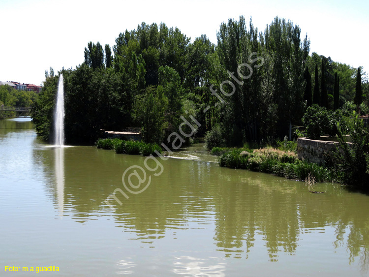 PALENCIA (362) Rio Carrion