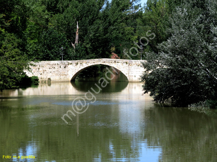 PALENCIA (363) Puentecillas