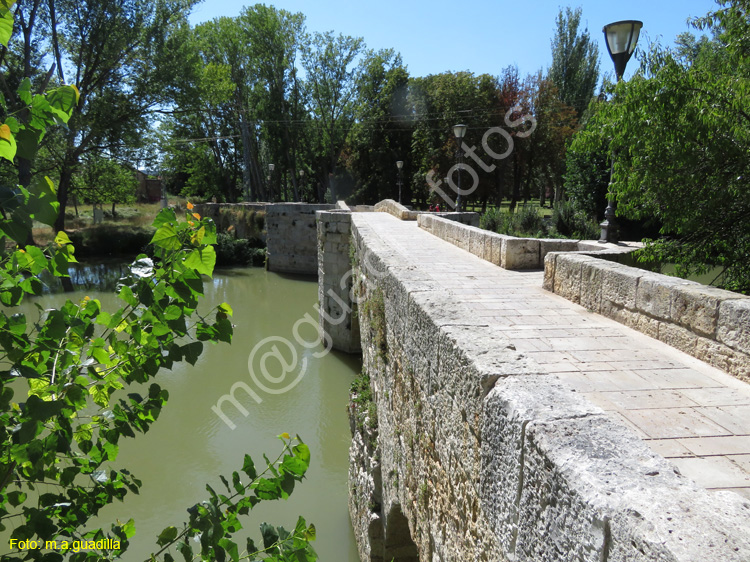 PALENCIA (364) Puentecillas