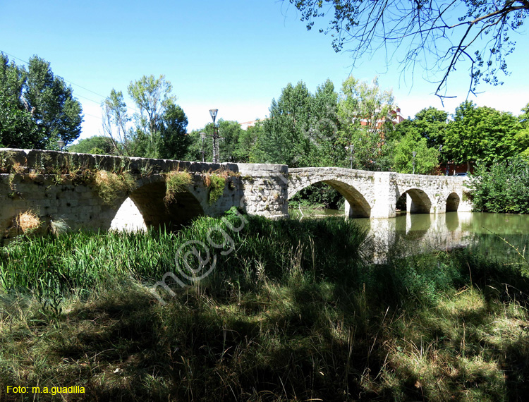 PALENCIA (366) Puentecillas