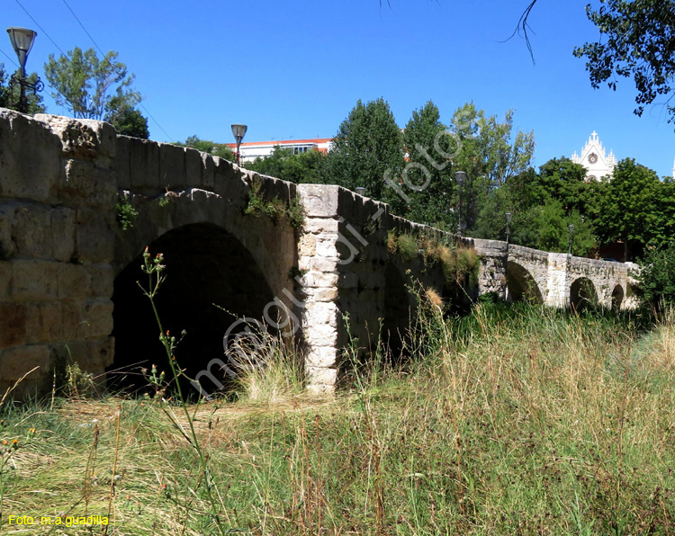 PALENCIA (371) Puentecillas