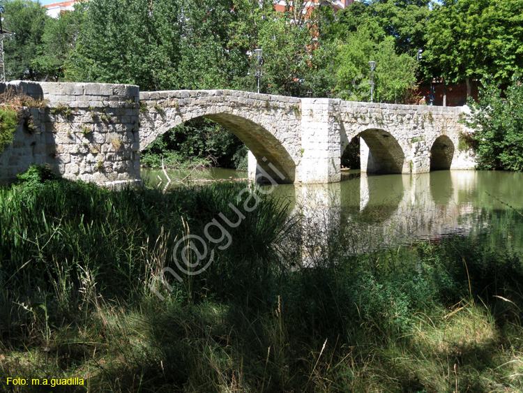 PALENCIA (372) Puentecillas