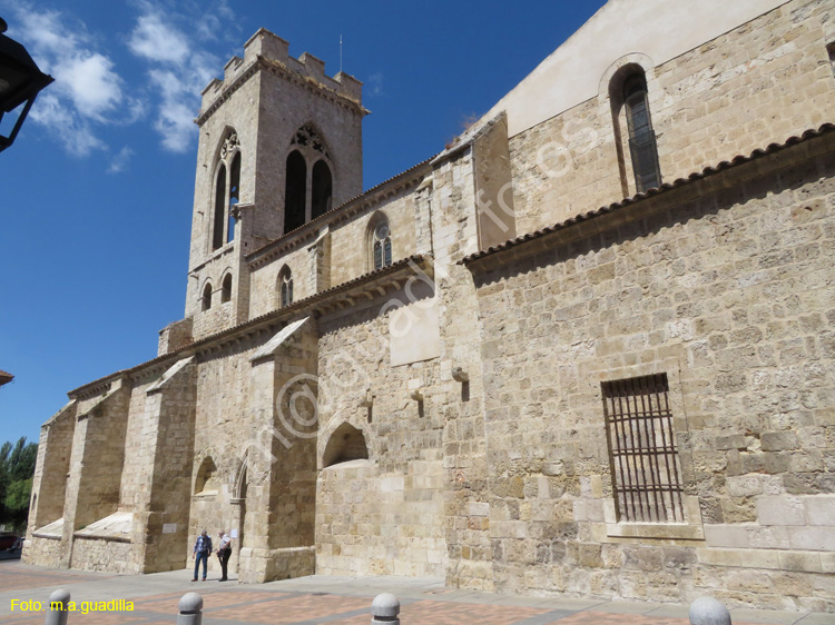PALENCIA (393) Iglesia de San Miguel