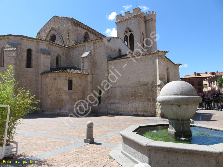 PALENCIA (395) Iglesia de San Miguel