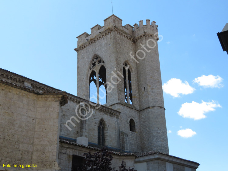 PALENCIA (397) Iglesia de San Miguel