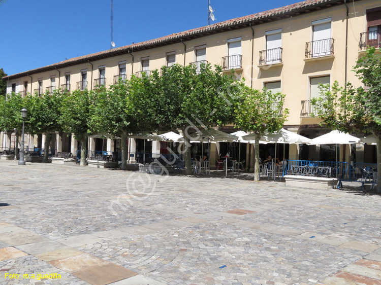 PALENCIA (443) Plaza Mayor