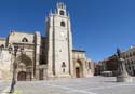 PALENCIA (196) Catedral