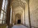 PALENCIA (203) Catedral