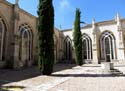 PALENCIA (206) Catedral