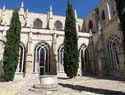 PALENCIA (208) Catedral