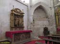 PALENCIA (267) Catedral