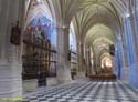 PALENCIA (310) Catedral