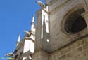 PALENCIA (352) Catedral