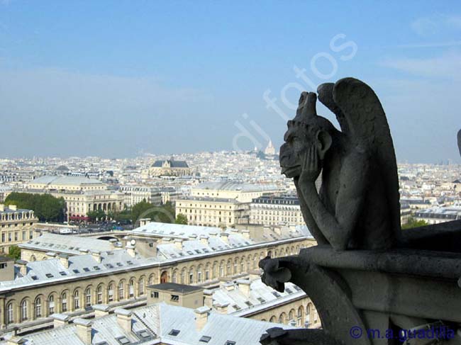 PARIS 166 Notre Dame