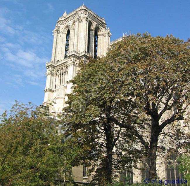 PARIS 176 Notre Dame