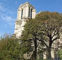 PARIS 176 Notre Dame