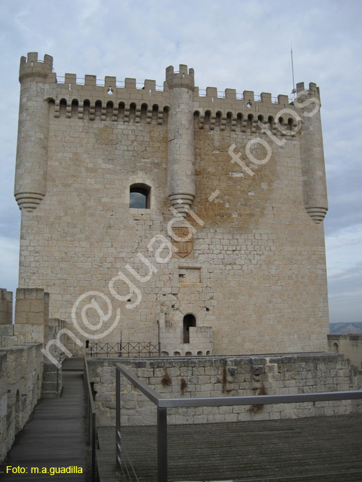 Penafiel (108) Castillo