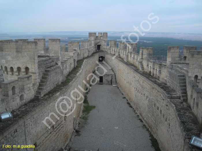 Penafiel (126) Castillo