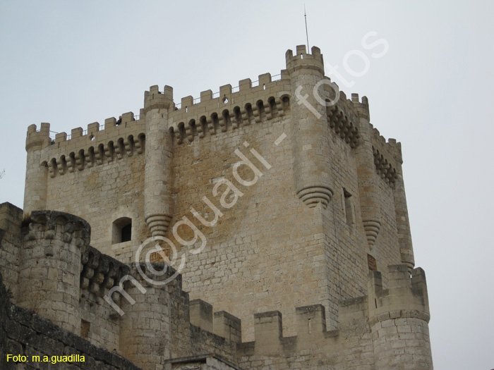 Penafiel (136) Castillo