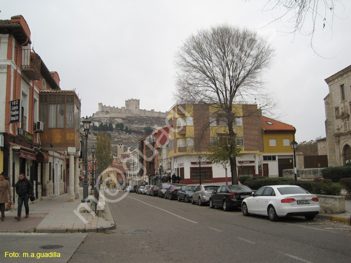 Penafiel (201)