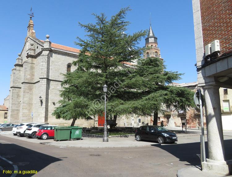 PEÑARANDA DE BRACAMONTE (101) Iglesia de San Miguel