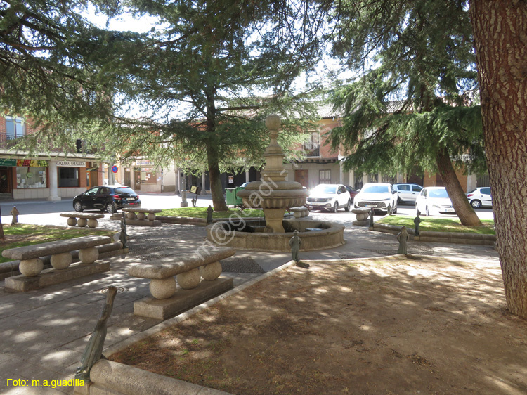 PEÑARANDA DE BRACAMONTE (122) Plaza Agustin Martinez Soler