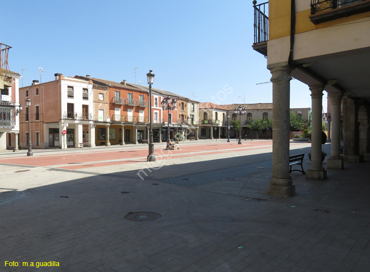 PEÑARANDA DE BRACAMONTE (125) Plaza Constitucion