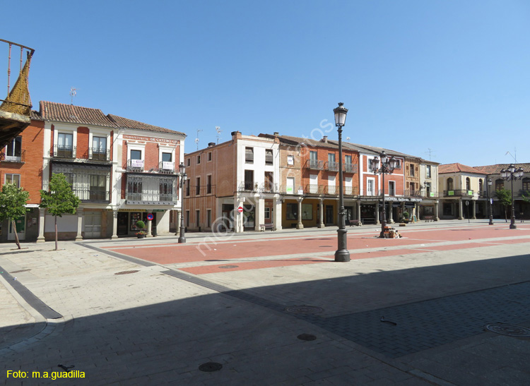 PEÑARANDA DE BRACAMONTE (126) Plaza Constitucion