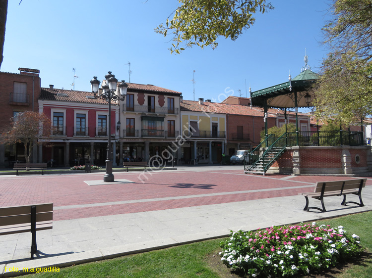 PEÑARANDA DE BRACAMONTE (139) Plaza España