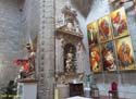 PEÑARANDA DE BRACAMONTE (115) Iglesia de San Miguel