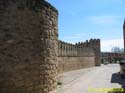 Peñaranda de Duero 088 Murallas