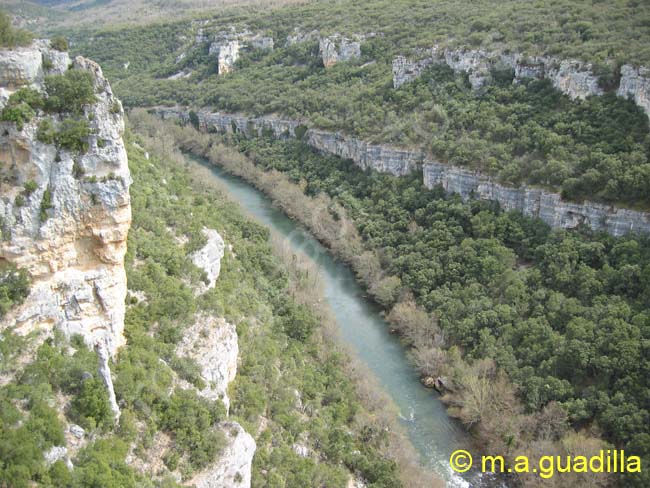 Pesquera de Ebro 002