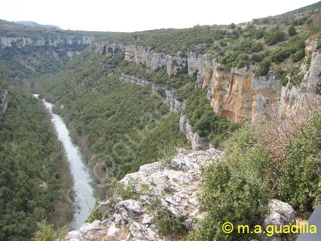 Pesquera de Ebro 005