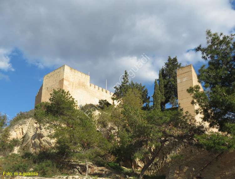 PETRER (101) Castillo