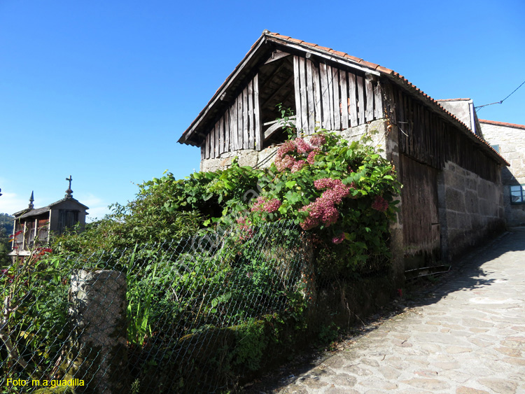 PONTE MACEIRA (101)