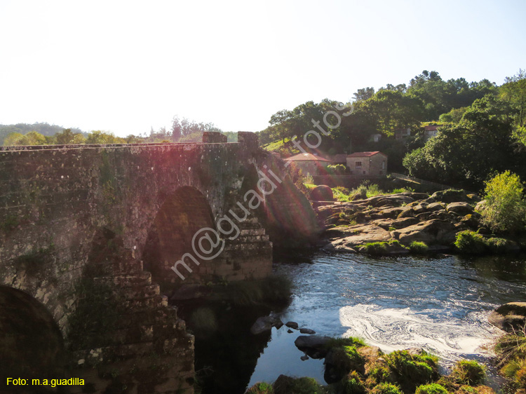 PONTE MACEIRA (105)